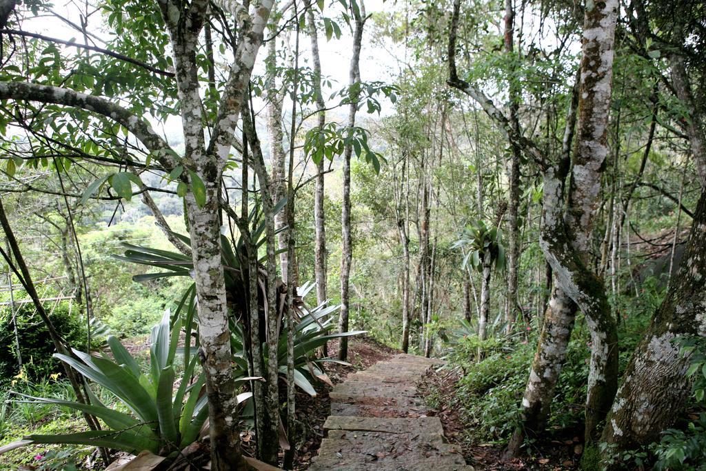 Aroso Paco Hotel 페드라 아줄 외부 사진 A trail in the park